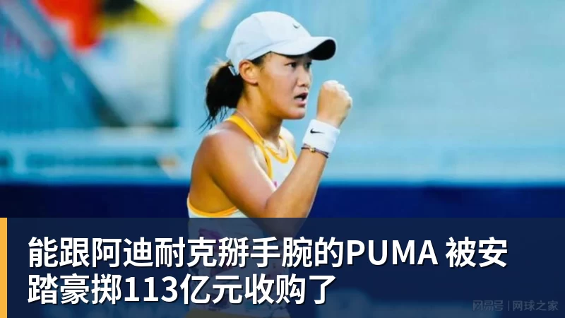 能跟阿迪耐克掰手腕的PUMA 被安踏豪掷113亿元收购了